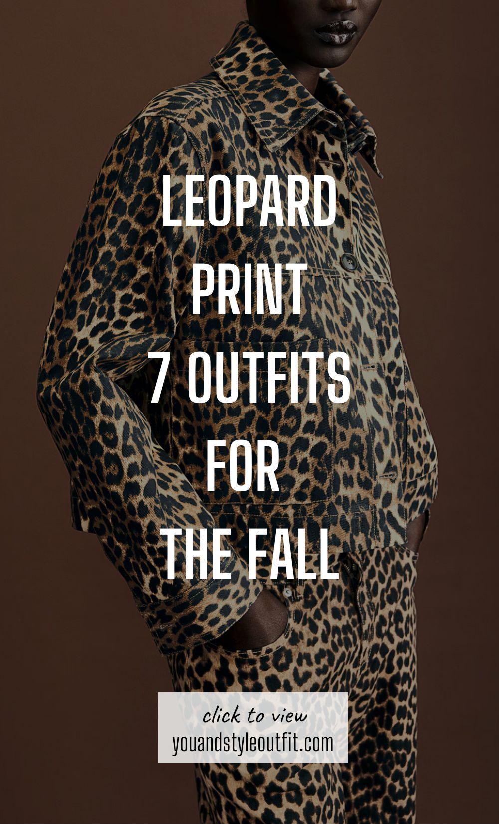 Leopard print | 7 outfits for the Fall